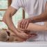 diferencies entre la fisioteràpia i l'osteopatia