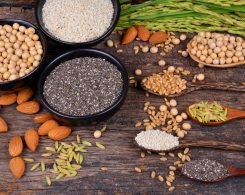 foods rich plant protein