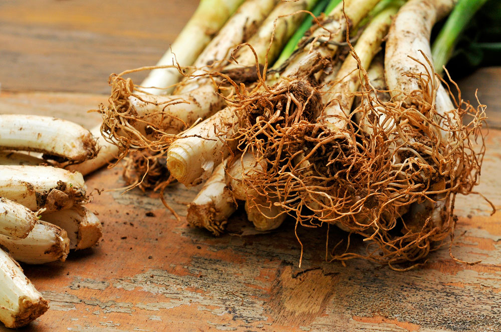 calçots