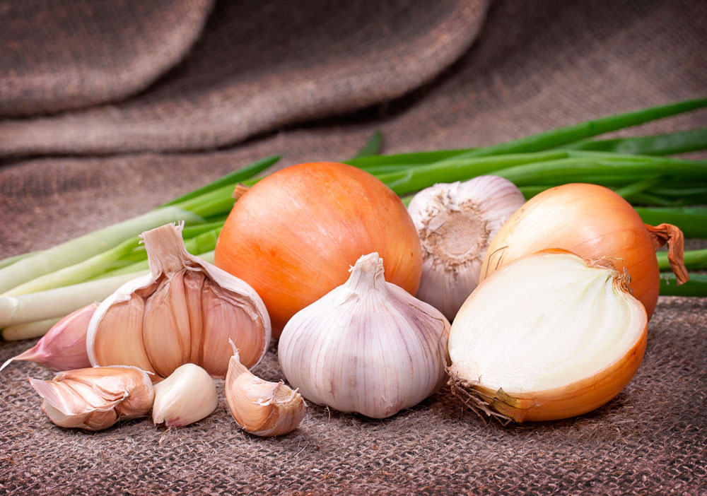 cebolla y ajos alimentos para mantenerte joven