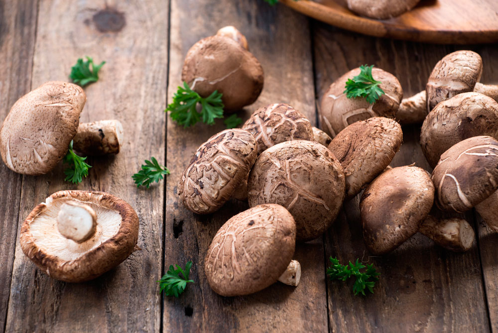 shitake alimentos para mantenerte joven