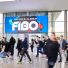 FIBO