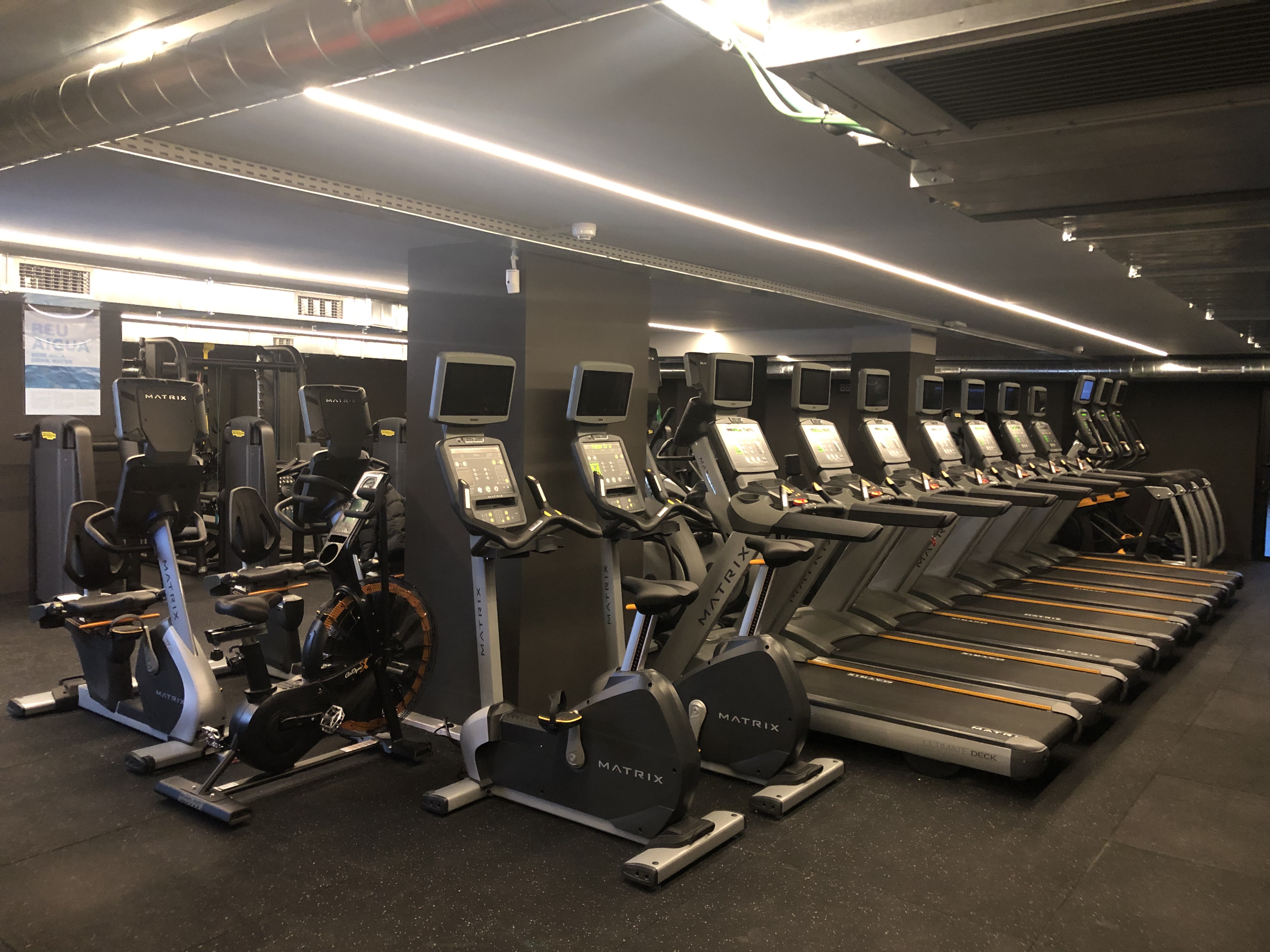 BDiR Calvet sala fitness