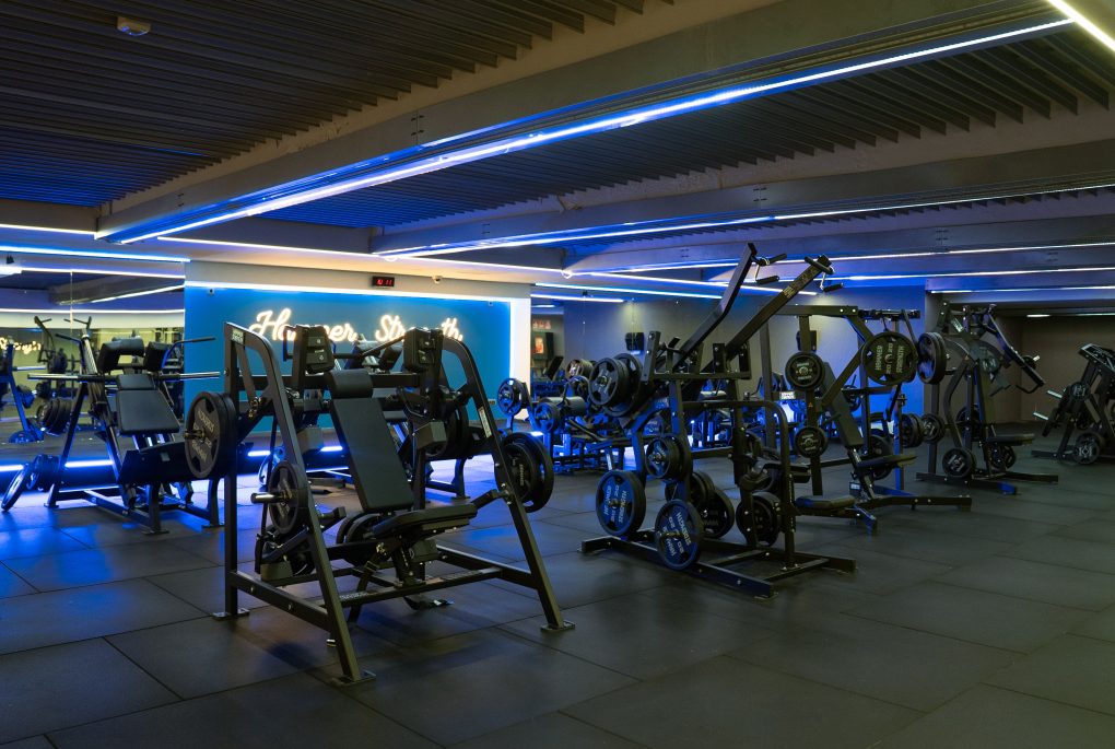 Entrenamiento de fuerza_Hammer Strength