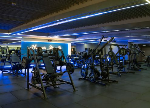 Entrenamiento de fuerza_Hammer Strength