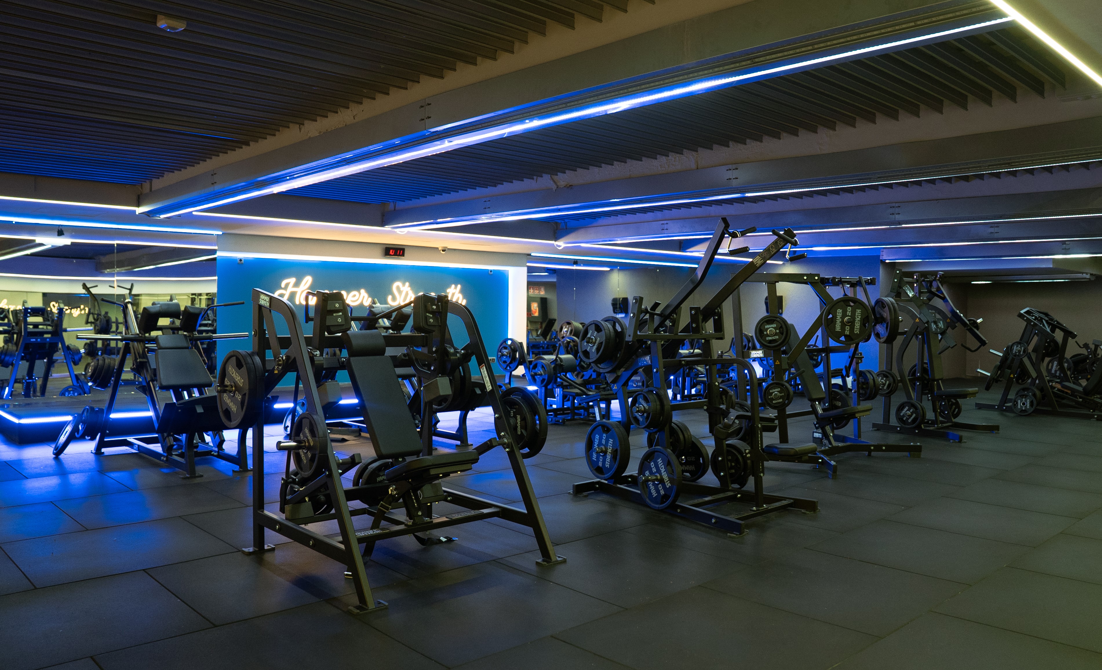 Entrenamiento de fuerza_Hammer Strength