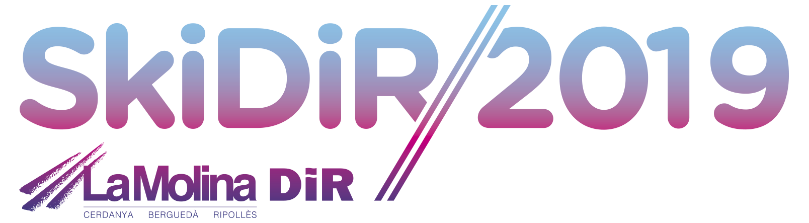 logo SkiDiR
