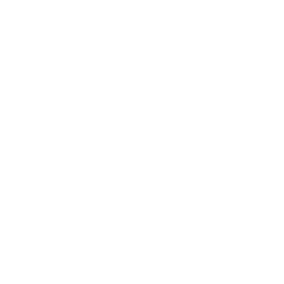 Logo DiR
